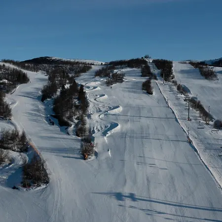 Mountain Retreat Near Hiking And Skiing Feriehus