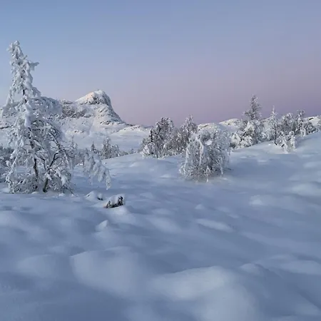Mountain Retreat Near Hiking And Skiing Feriehus Beitostolen