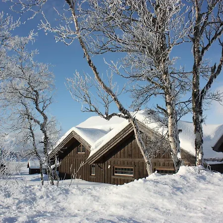 Mountain Retreat Near Hiking And Skiing Feriehus Beitostolen
