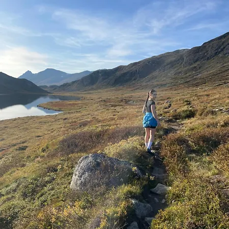 Mountain Retreat Near Hiking And Skiing Beitostolen