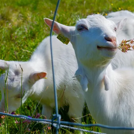 Mountain Retreat Near Hiking And Skiing * Beitostolen